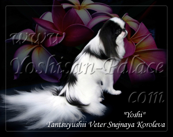 Yoga02